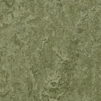 Forbo Marmoleum Linoleum Cinch Loc Floating Floor Tiles or Planks Pine Forest 933255