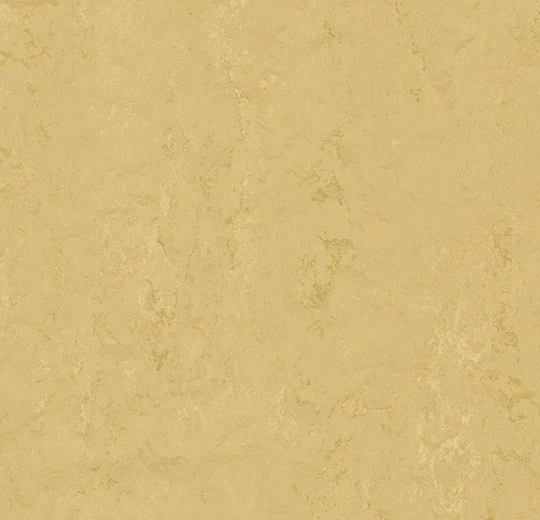 Forbo-Marmoleum-Modular-Tile-10x10-20x20-Corn-Silk-T3774